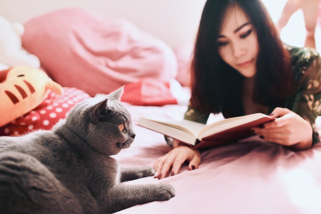 Cat owner comparing policies